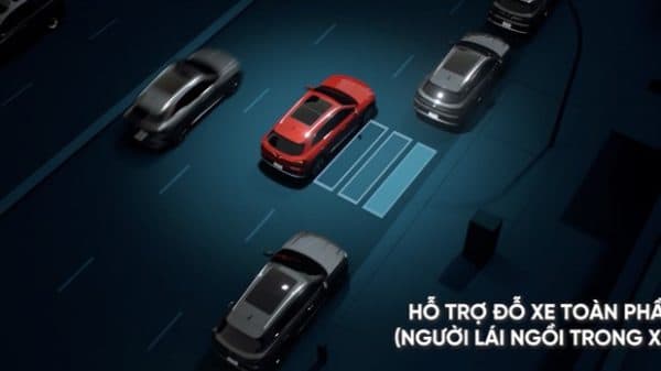 Lùi chuồng tự động